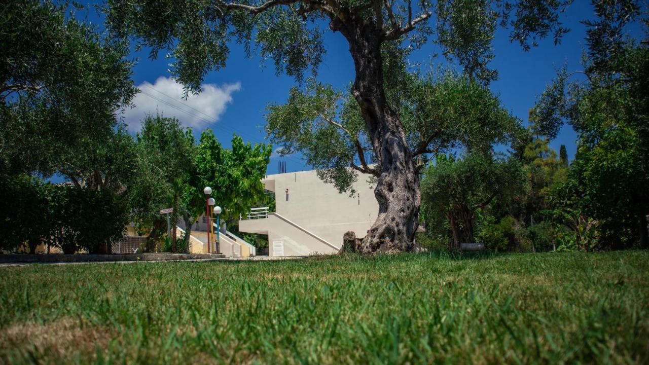 Kalypso Studio Resorts Kávos Zewnętrze zdjęcie