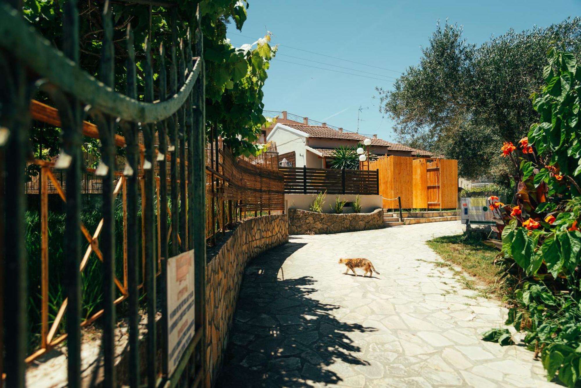 Kalypso Studio Resorts Kávos Zewnętrze zdjęcie